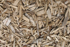 biomass boilers Moelfre